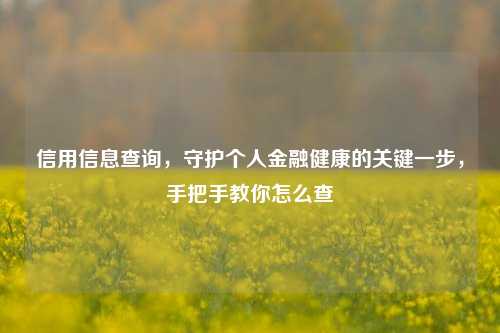 信用信息查询，守护个人金融健康的关键一步，手把手教你怎么查