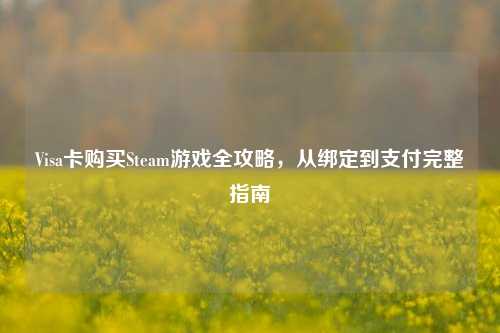 Visa卡购买Steam游戏全攻略，从绑定到支付完整指南