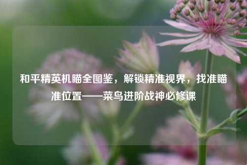 和平精英机瞄全图鉴，解锁精准视界，找准瞄准位置——菜鸟进阶战神必修课