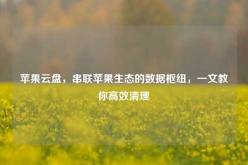 苹果云盘，串联苹果生态的数据枢纽，一文教你高效清理