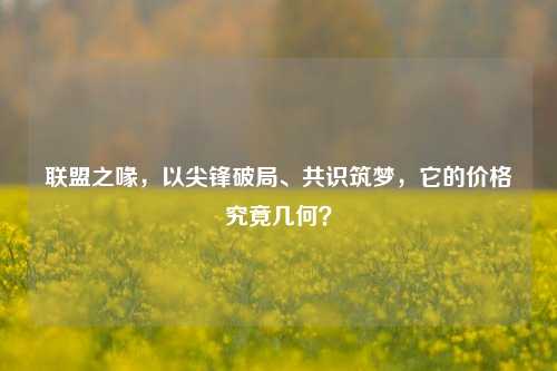 联盟之喙，以尖锋破局、共识筑梦，它的价格究竟几何？