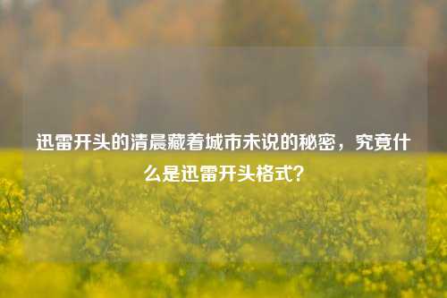 迅雷开头的清晨藏着城市未说的秘密，究竟什么是迅雷开头格式？