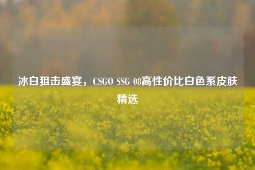 冰白狙击盛宴，CSGO SSG 08高性价比白色系皮肤精选