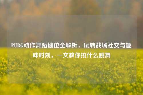 PUBG动作舞蹈键位全解析，玩转战场社交与趣味时刻，一文教你按什么跳舞
