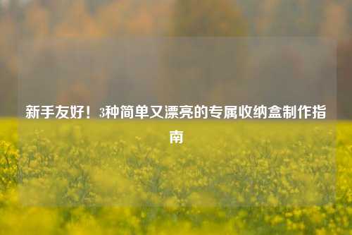 新手友好！3种简单又漂亮的专属收纳盒     指南