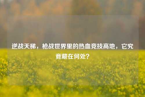 逆战天梯，枪战世界里的热血竞技高地，它究竟藏在何处？