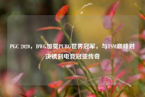 PGC 2020，DWG加冕PUBG世界冠军，与T     巅峰对决镌刻电竞冠亚传奇