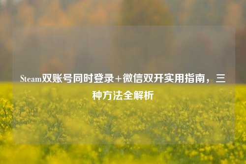 Steam双账号同时登录+微信双开实用指南，三种方法全解析