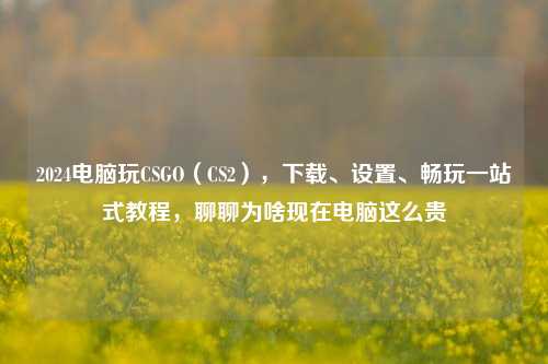 2024电脑玩CSGO（CS2），下载、设置、畅玩一站式教程，聊聊为啥现在电脑这么贵