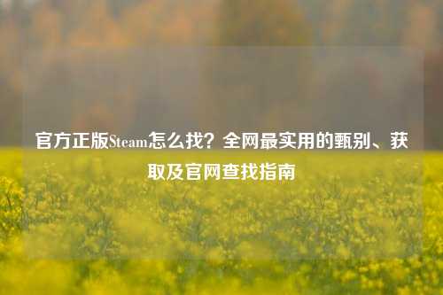 官方正版Steam怎么找？全网最实用的甄别、获取及官网查找指南