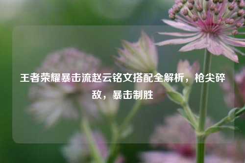王者荣耀暴击流赵云铭文搭配全解析，枪尖碎敌，暴击制胜
