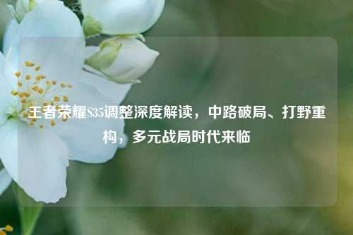 王者荣耀S35调整深度解读，中路破局、打野重构，多元战局时代来临