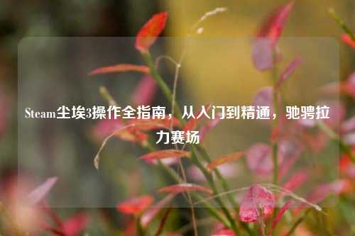 Steam尘埃3操作全指南，从入门到精通，驰骋拉力赛场