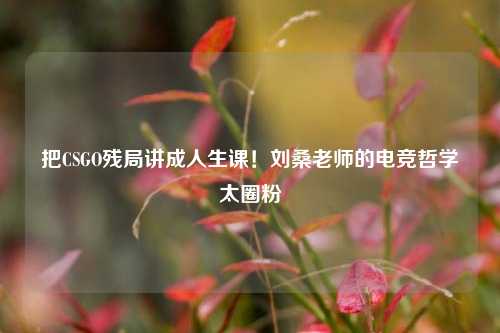 把CSGO残局讲成人生课！刘桑老师的电竞哲学太圈粉