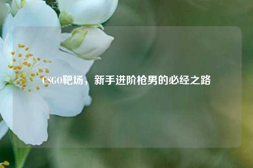 CSGO靶场，新手进阶枪男的必经之路