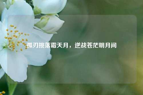 孤刃挑落霜天月，逆战苍茫明月间