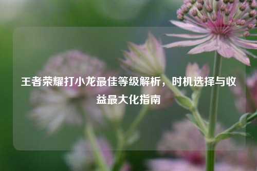 王者荣耀打小龙更佳等级解析，时机选择与收益更大化指南