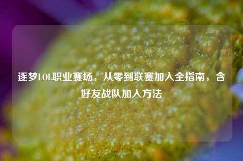 逐梦LOL职业赛场，从零到联赛加入全指南，含好友战队加入     
