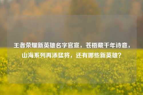王者荣耀新英雄名字官宣，苍梧藏千年诗意，山海系列再添猛将，还有哪些新英雄？