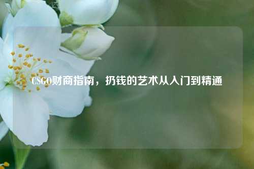 CSGO财商指南，扔钱的艺术从入门到精通