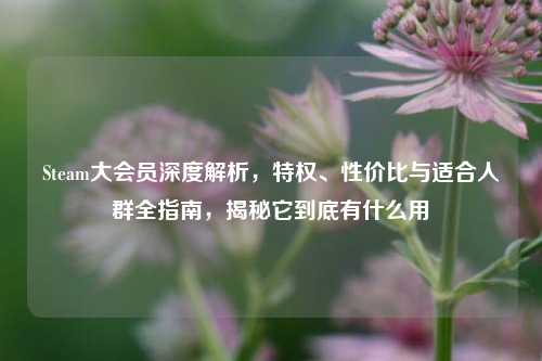 Steam大会员深度解析，特权、性价比与适合人群全指南，揭秘它到底有什么用