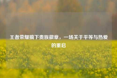 王者荣耀摘下贵族徽章，一场关于平等与热爱的重启