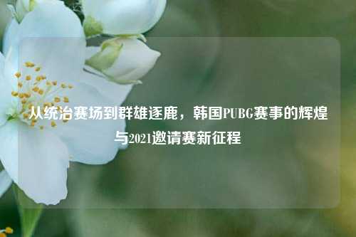 从统治赛场到群雄逐鹿，韩国PUBG赛事的辉煌与2021邀请赛新征程