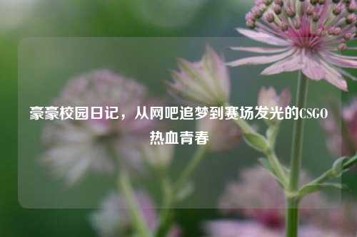 豪豪校园日记，从网吧追梦到赛场发光的CSGO热血青春