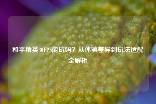 和平精英30FPS能玩吗？从体验差异到玩法适配全解析