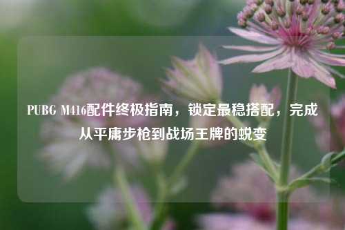 PUBG M416配件终极指南，锁定最稳搭配，完成从平庸步枪到战场王牌的蜕变