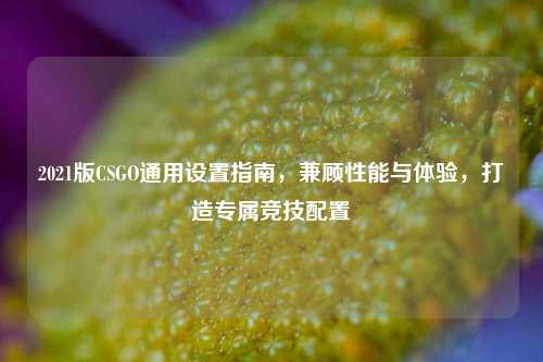 2021版CSGO通用设置指南，兼顾性能与体验，打造专属竞技配置