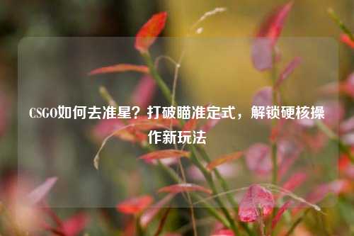 CSGO如何去准星？打破瞄准定式，解锁硬核操作新玩法
