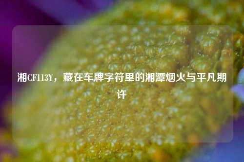 湘CF113Y，藏在车牌字符里的湘潭烟火与平凡期许