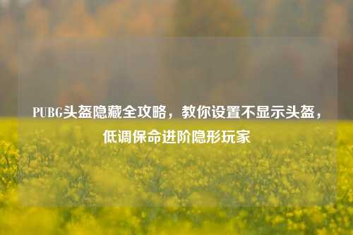 PUBG头盔隐藏全攻略，教你设置不显示头盔，低调保命进阶隐形玩家