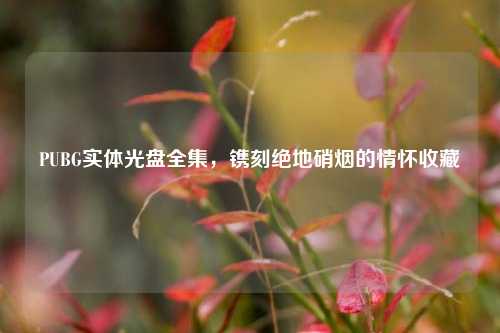 PUBG实体光盘全集，镌刻绝地硝烟的情怀收藏