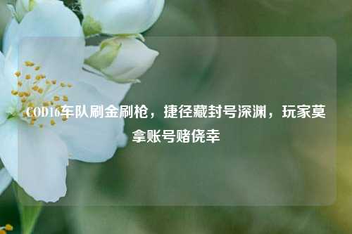 COD16车队刷金刷枪，捷径藏封号深渊，玩家莫拿账号赌侥幸