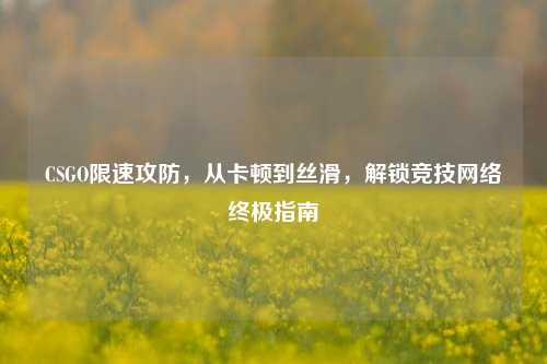 CSGO限速攻防，从卡顿到丝滑，解锁竞技     终极指南