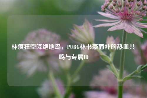 林疯狂空降绝地岛，PUBG林书豪面补的热血共鸣与专属ID