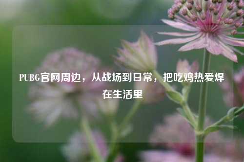 PUBG官网周边，从战场到日常，把吃鸡热爱焊在生活里