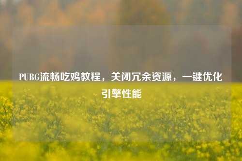 PUBG流畅吃鸡教程，关闭冗余资源，一键优化引擎性能