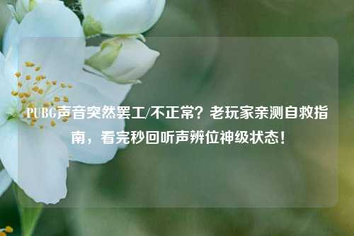 PUBG声音突然     /不正常？老玩家亲测自救指南，看完秒回听声辨位神级状态！