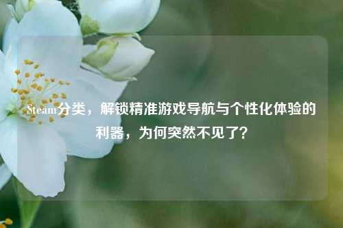 Steam分类，解锁精准游戏导航与个性化体验的利器，为何突然不见了？
