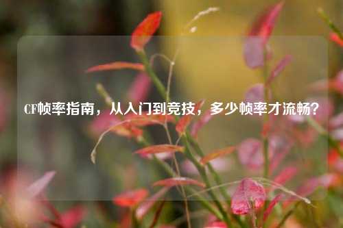 CF帧率指南，从入门到竞技，多少帧率才流畅？