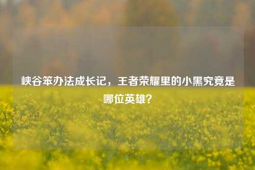 峡谷笨办法成长记，王者荣耀里的小黑究竟是哪位英雄？