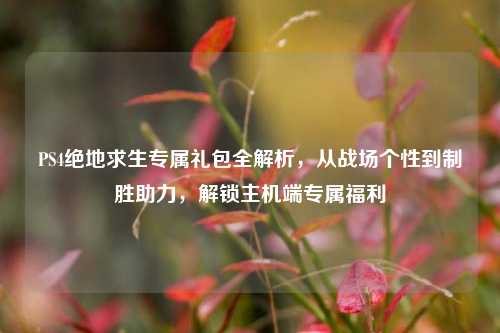 PS4绝地求生专属礼包全解析，从战场个性到制胜助力，解锁主机端专属福利