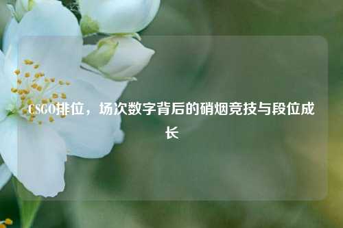 CSGO排位，场次数字背后的硝烟竞技与段位成长