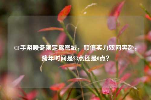 CF手游暖冬限定鸳鸯绒，颜值实力双向奔赴，跨年时间是23点还是0点？