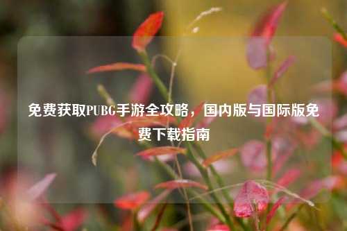 免费获取PUBG手游全攻略，国内版与国际版免费下载指南