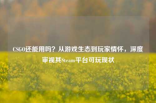 CSGO还能用吗？从游戏生态到玩家情怀，深度审视其Steam平台可玩现状