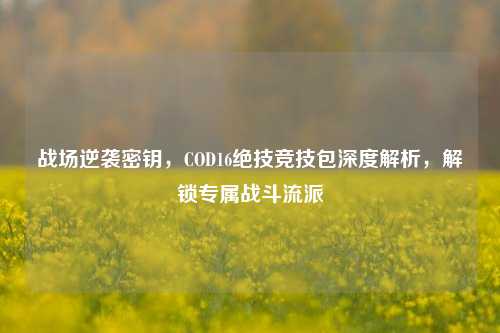 战场逆袭密钥，COD16绝技竞技包深度解析，解锁专属战斗流派